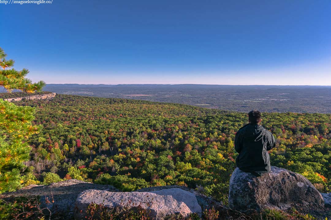 hamilton point vista